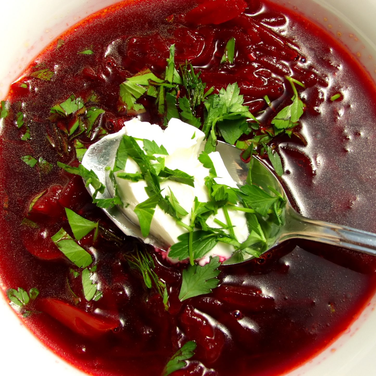 Authentic Borscht